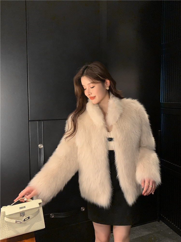 Fashion Stand Collar Furry Coat Women